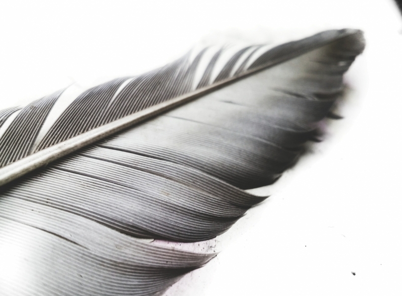 Vászonkép: a korszerű, személyre szabható és elegáns (fal)dekorációs megoldás